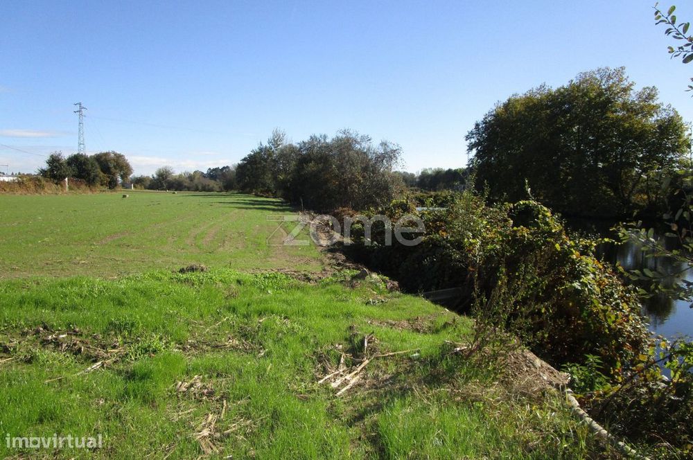 Rustic Land Plot Adjacent to the Ave River in Fradelos, Vila Nova de Famalicão