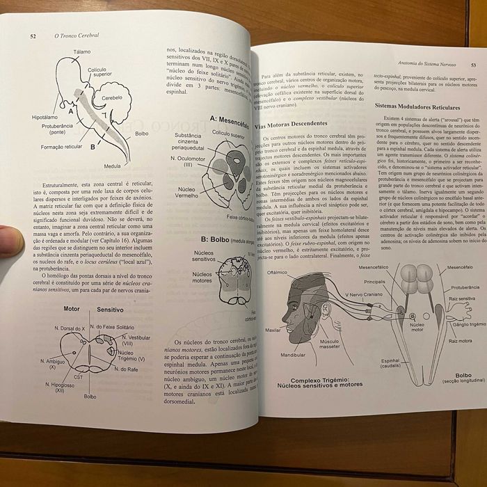 William A. Mackay - Neurofisiologia Sem Lágrimas