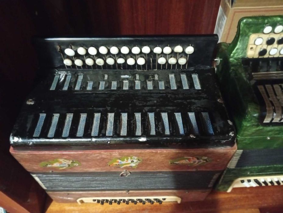 Винтажная Гармонь, гармошка