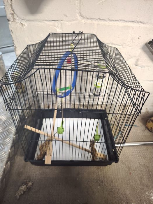 Klatka na twego ptaszka ptaka  kanarka papuge kormorana imdyka  koguta