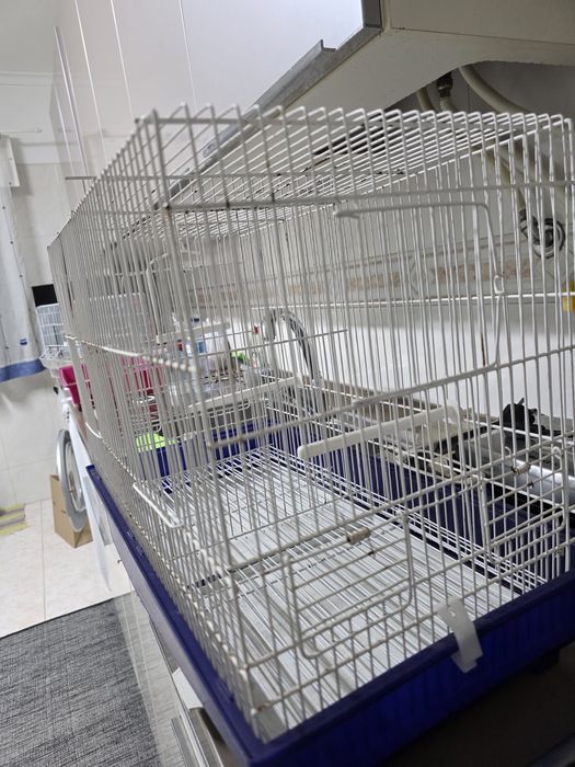 3 Gaiolas usadas em bom estado