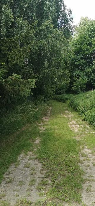 Działki budowlane na sprzedaż – Gostycyn, woj. kujawsko-pomorskie