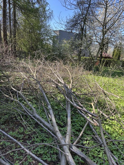 Oddam za darmo drewno i deski na opal