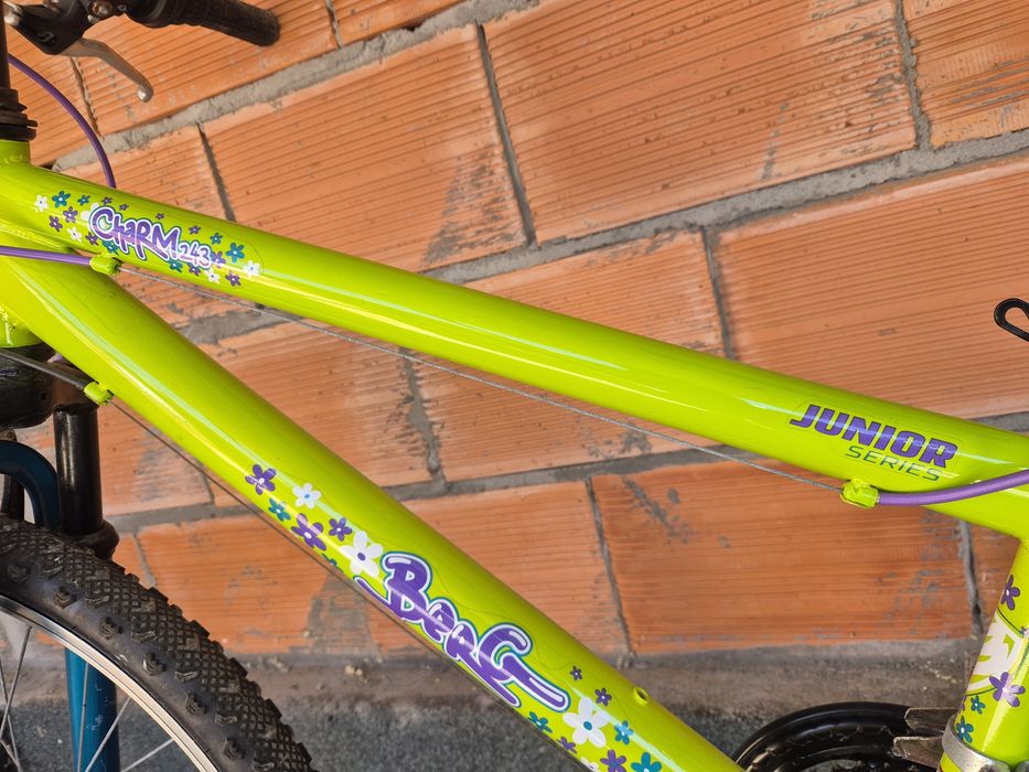 Bicicleta berg roda 26