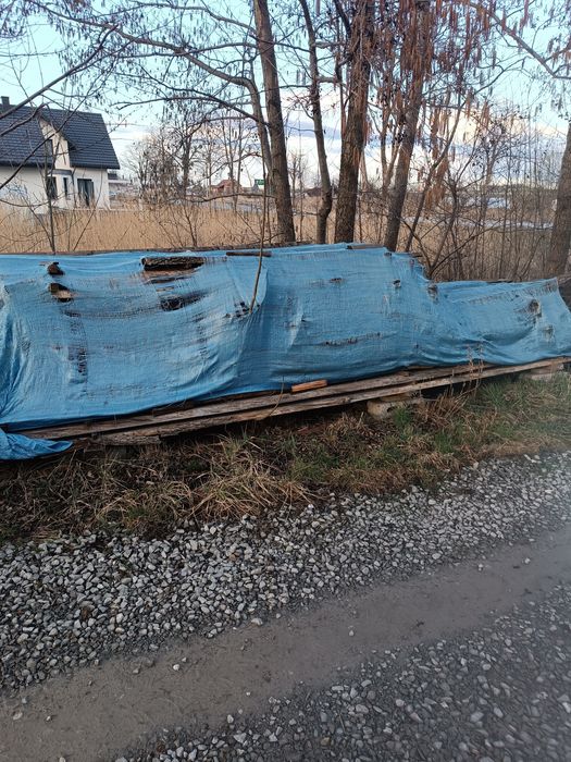 Dąb suchy Brusy 50 mm