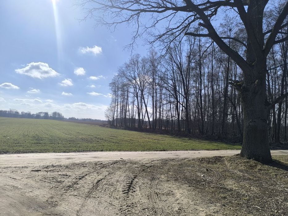 Działka budowlana 3800 m kw. Malanów gm. Lutomiersk