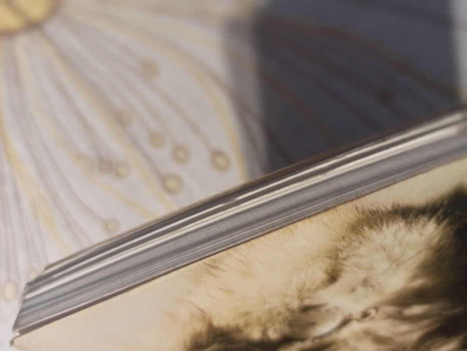 Franky Furbo William Wharton książka papierowa