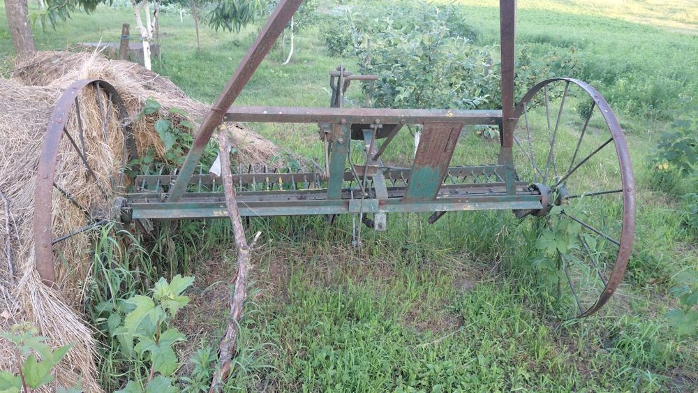 Гребка в гарному стані