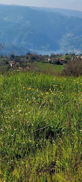 Terreno Douro p/construção-COM projeto aprovado!