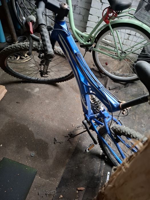 Rower wyczynowy COYOTE