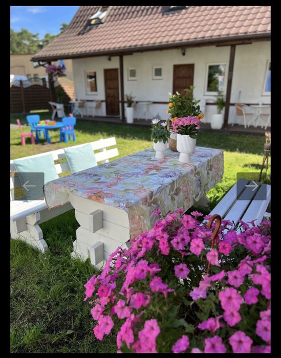 Promocja -  last minute  od 22 sierpnia - Domki Ewcia Miedzywodzie, ul. Westerplatte 12