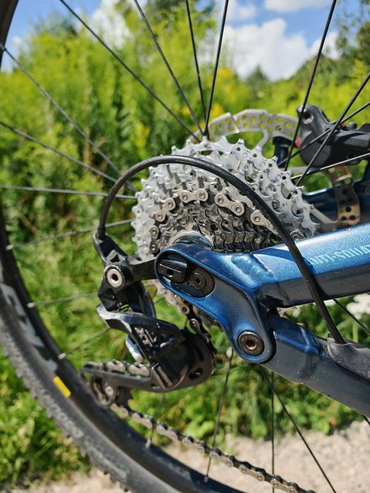 Canyon Nerve AL 6.0