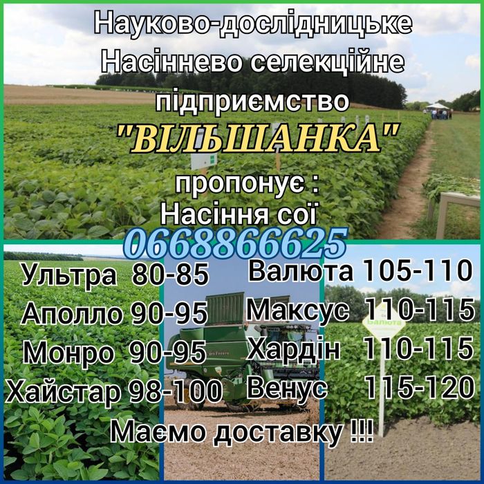 Насіння сої гмо Хардін