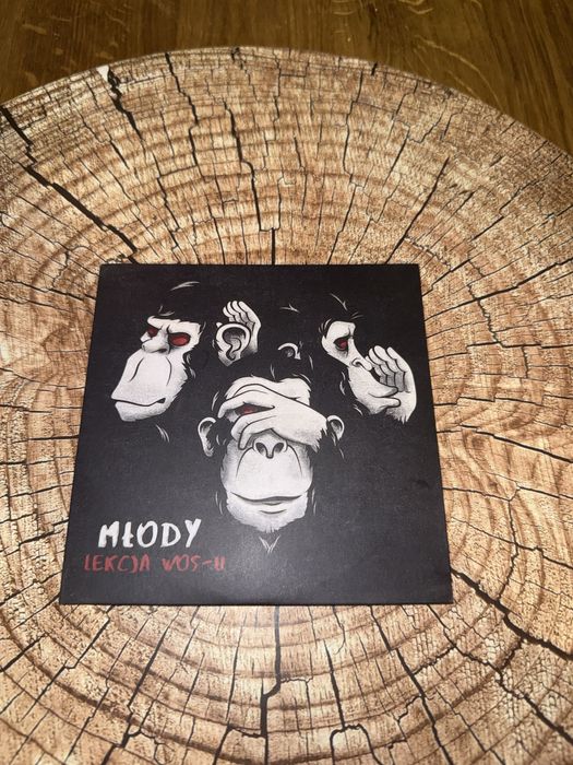 Młody - Lekcja WOS-u