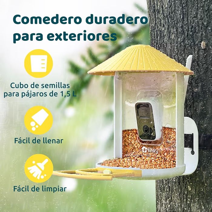 Netvue by Birdfy Alimentador pássaros com câmera, observação de aves c