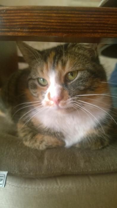 Nagroda 500 zł. Stg i okoliczne wsie.