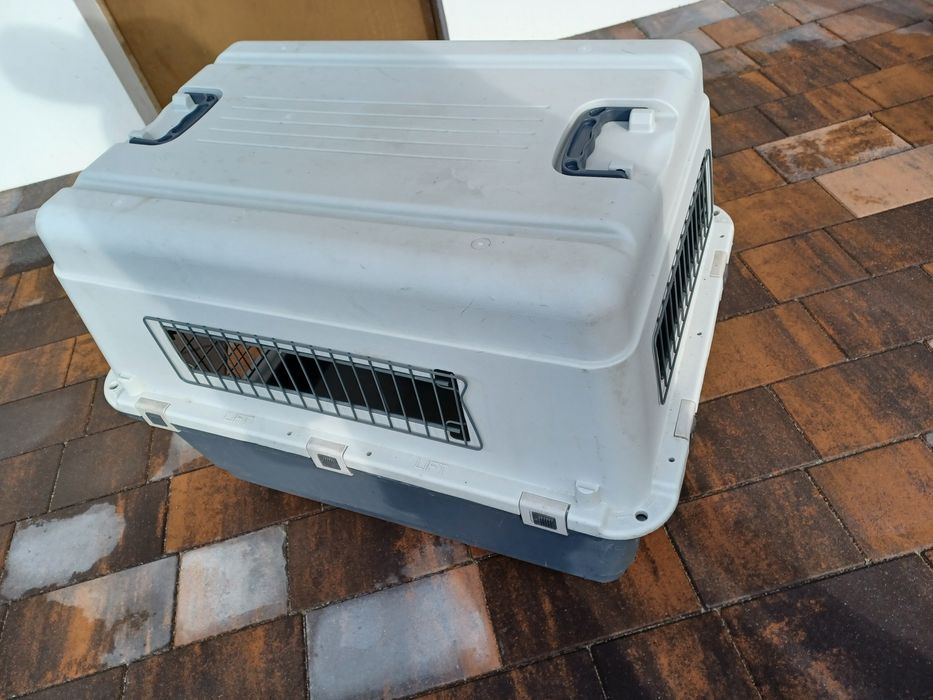 Transporter dla Psa Anione L80