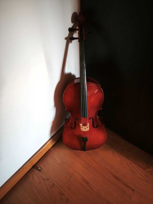 Vários Violoncelos Hofner, Carlo Giordano, Kreutzer, Palatino, etc