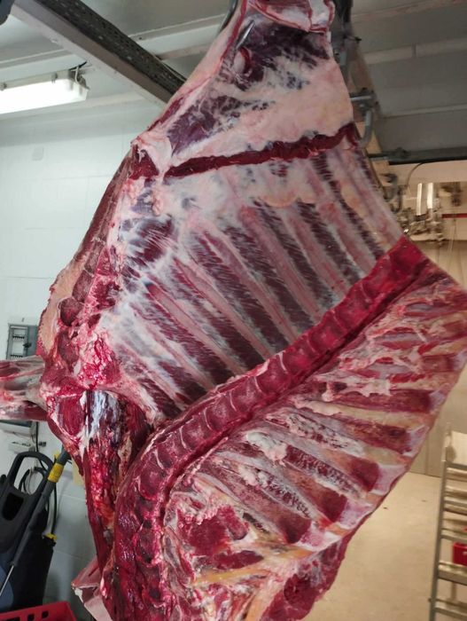 Wołowina Limousine Hereford chów ekstensywny naturalny