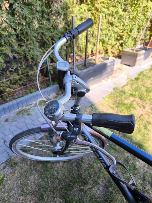 Rower Gazelle furore