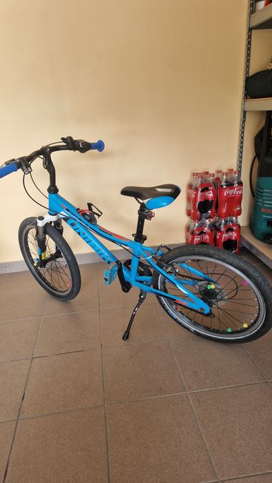 Rowe UNIBIKE Polecam