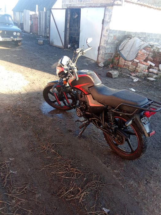 Продам мустанг фвості 150