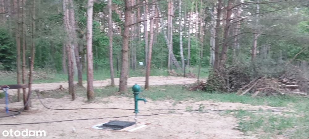 Puszcza Notecka Tanie działki budowlane bezpośrednio 50km od Poznania