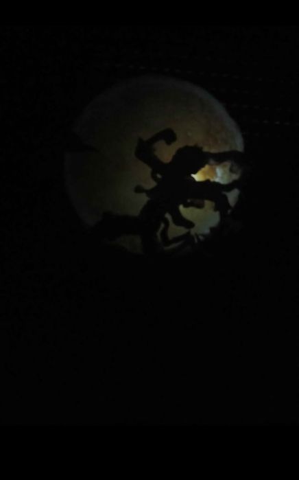 Lâmpada LED Luffy Gear 5 (One Piece Moon Lamp)