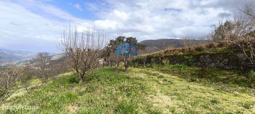 Terreno Urbanizável de 7959 m² com Armazém