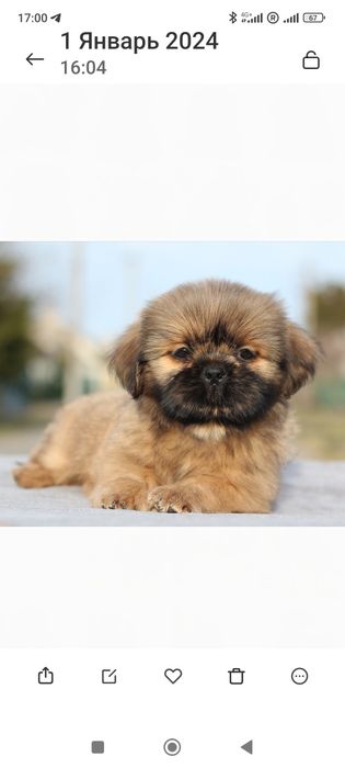 Гарненький, грайливий хлопчик