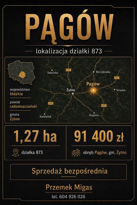 Pągów gm. Żytno - Działka rolna 1,27 ha – bezpośrednio - Więcej