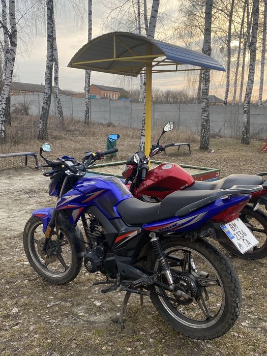 Мустанг фортуна 200