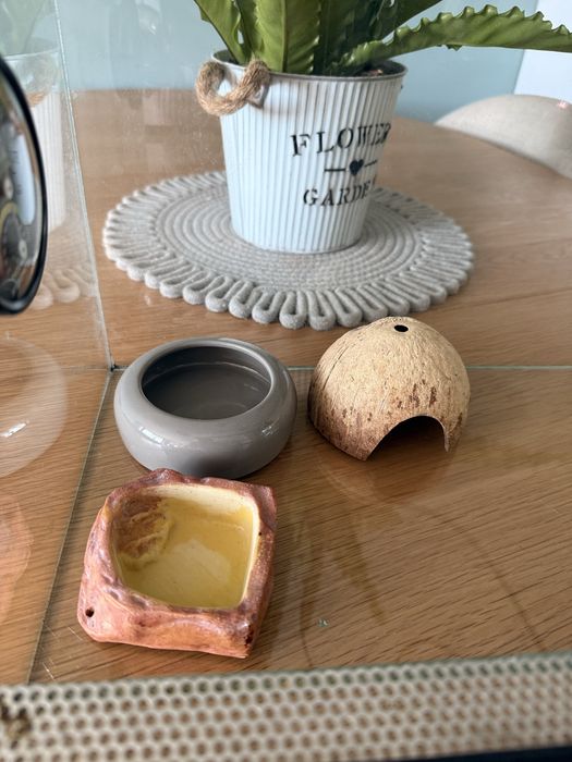 Terriarium po gekonie