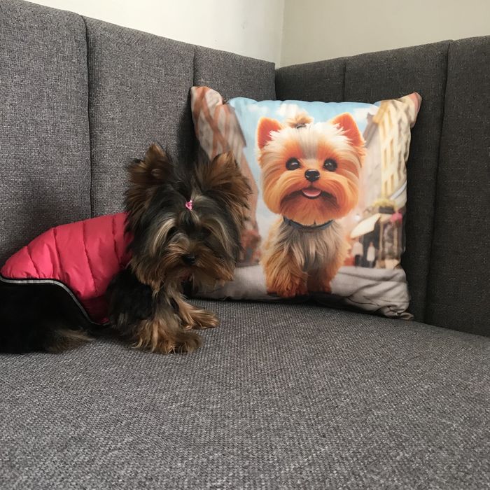 Маленькі йорики хлопчик та дівчинка