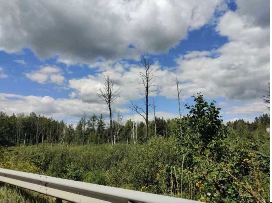 Ділянка 5 га під промисловість фасад траси Київ-Чоп, 14км від Житомира