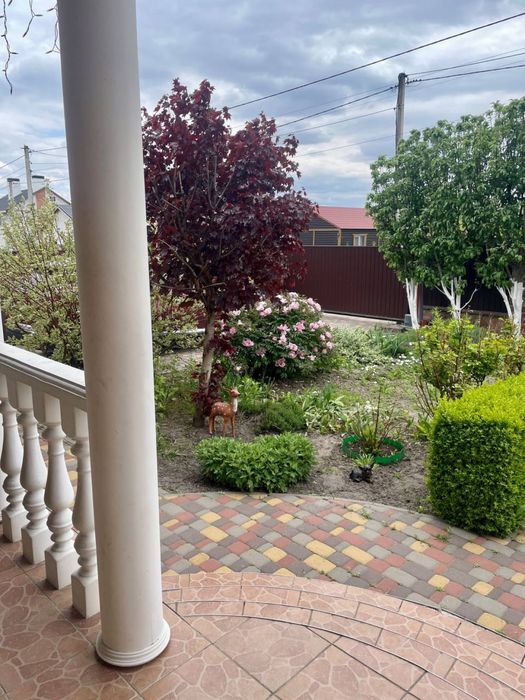 Будинок в с. Нове