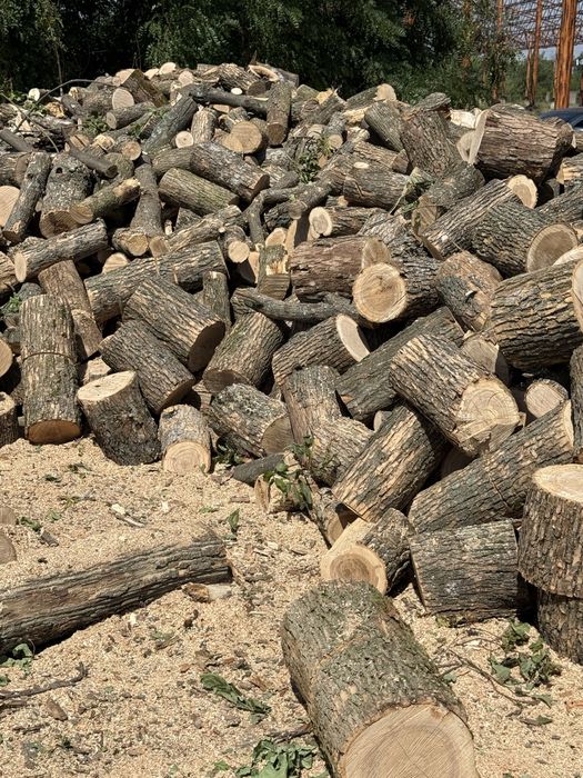 Дрова дуб,акация акционная цена