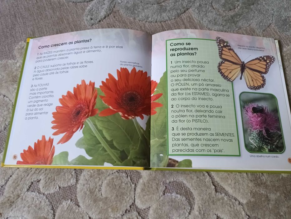 Livros para crianças