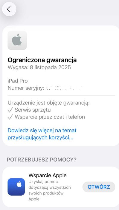 iPad PRO 11 cali 1TB dysk M2 srebrny