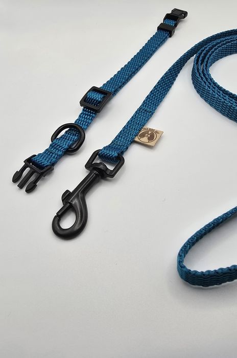 Komplet (smycz+obroża) Idealny zestaw dla małego pieska lub szczeniaka