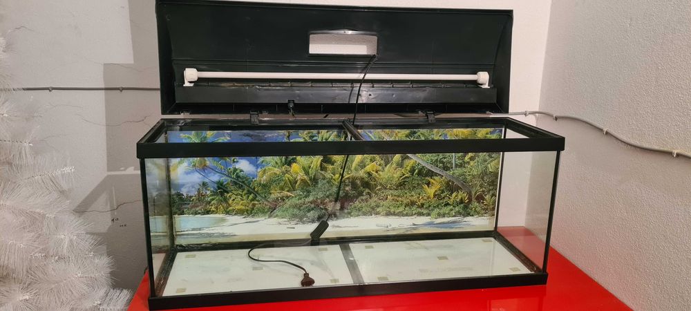 Aquário 100 litros