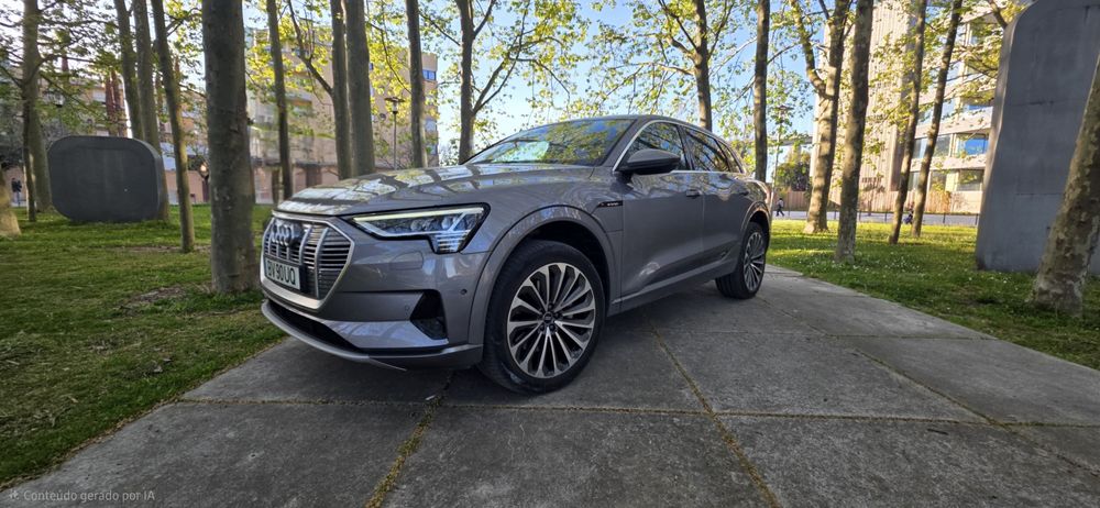 Audi etron 55 advanced