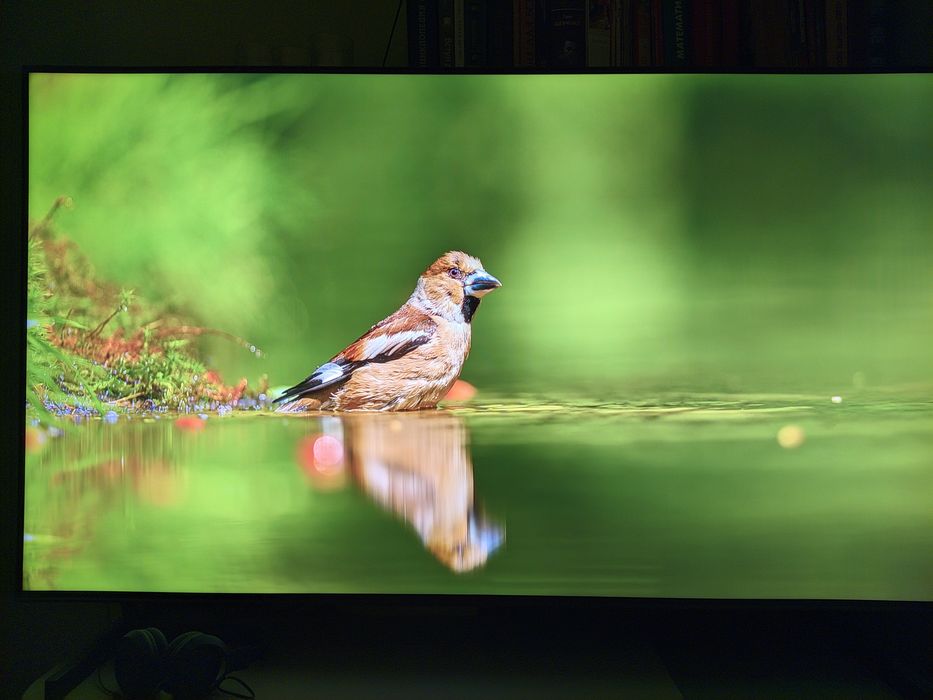 Телевізор Hisense MiniLED 55U6NQ