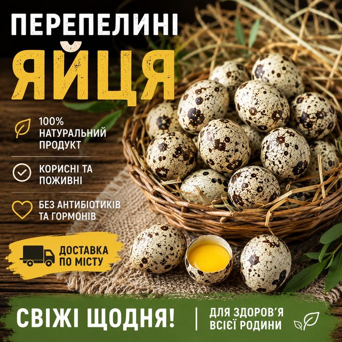 ПЕРЕПЕЛИНІ ЯЙЦЯ харчові та інкубаційні продовольче яйце