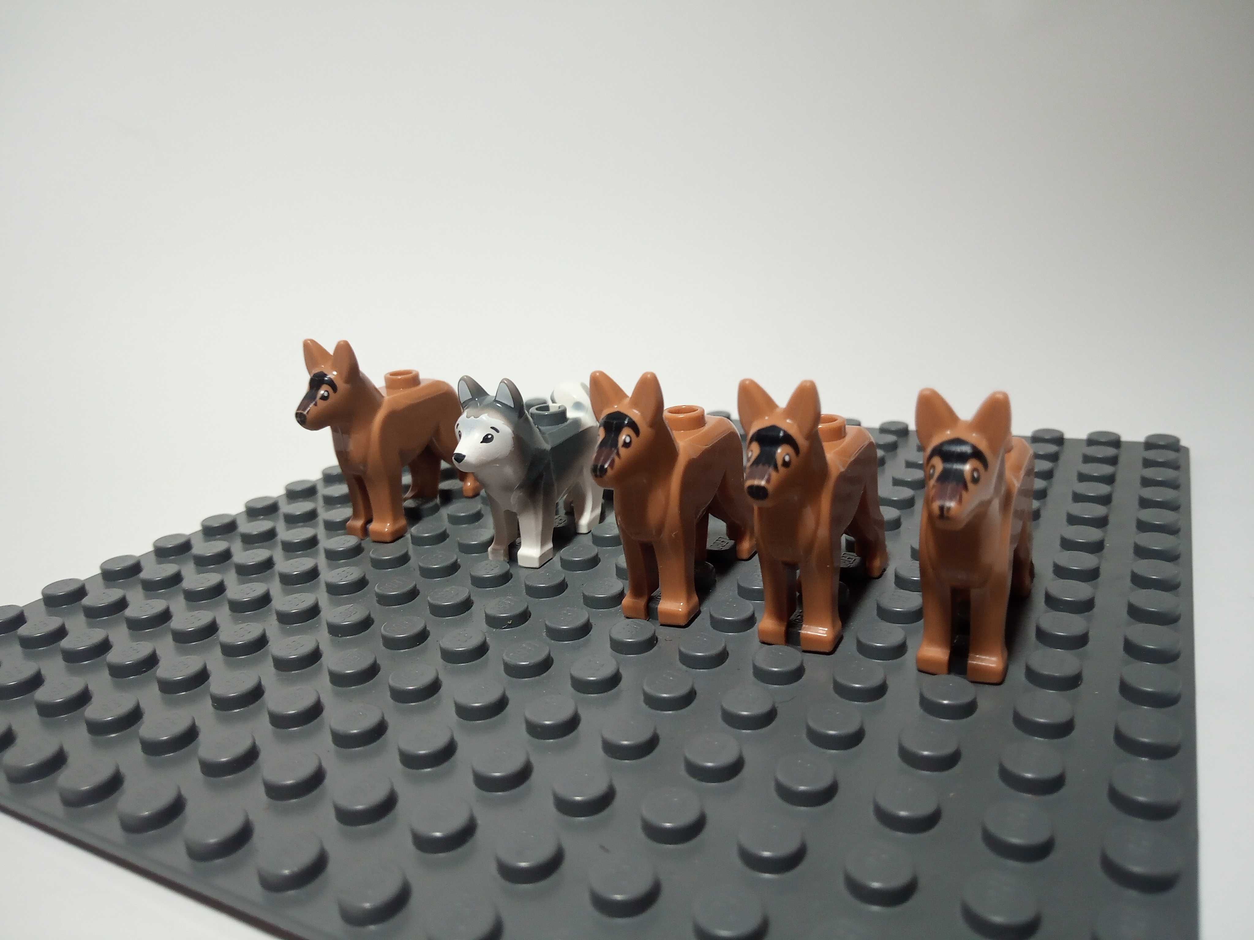 Lego top city husky