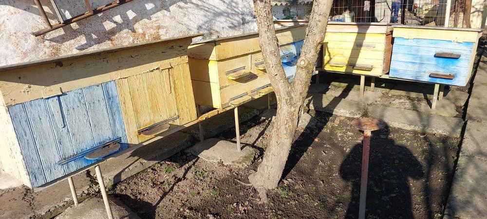 Бджолина пасіка, вулики, рамки, вощина