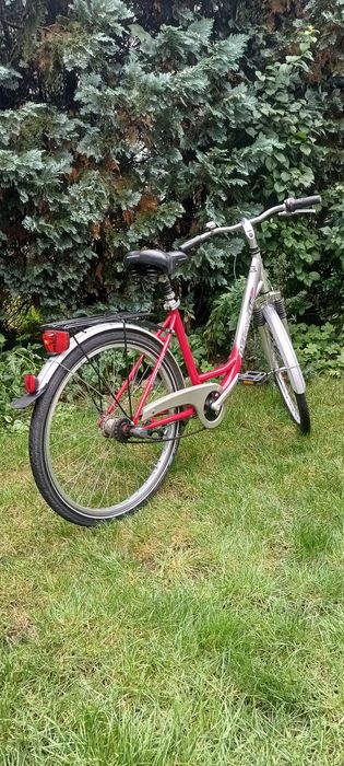Bardzo ładny Rower Pegasus 26'