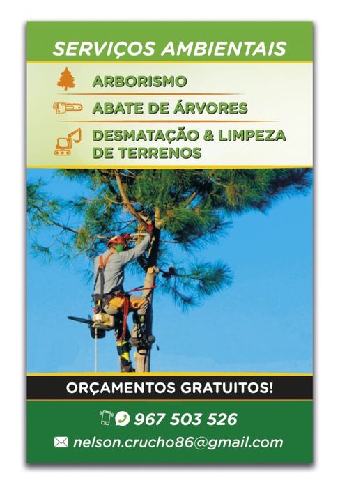 Limpeza terrenos/ abate de arvores