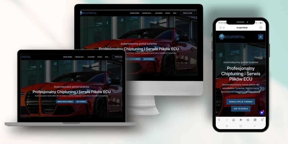 Profesjonalne Strony Internetowe i Sklepy WooCommerce | WordPress | FVAT | Portfolio