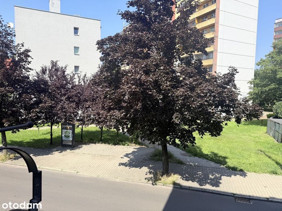 Zdjęcie 7